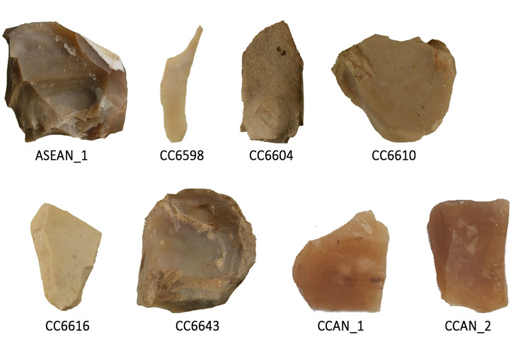 Sílex procedents de diferents jaciments paleolítics valencians analitzats en aquest estudi.